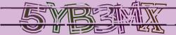 Darstellung des Captcha-Codes.