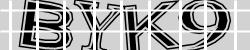 Darstellung des Captcha-Codes.