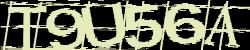 Darstellung des Captcha-Codes.