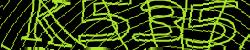 Darstellung des Captcha-Codes.