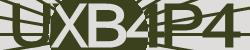 Darstellung des Captcha-Codes.