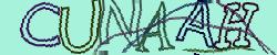 Darstellung des Captcha-Codes.