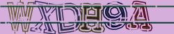 Darstellung des Captcha-Codes.
