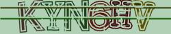 Darstellung des Captcha-Codes.