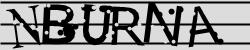 Darstellung des Captcha-Codes.