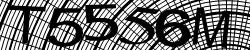 Darstellung des Captcha-Codes.