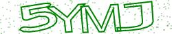Darstellung des Captcha-Codes.