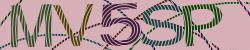 Darstellung des Captcha-Codes.
