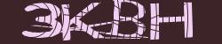 Darstellung des Captcha-Codes.