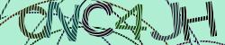 Darstellung des Captcha-Codes.
