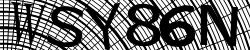Darstellung des Captcha-Codes.