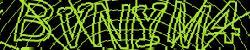 Darstellung des Captcha-Codes.