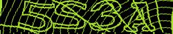 Darstellung des Captcha-Codes.