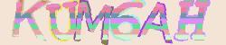 Darstellung des Captcha-Codes.