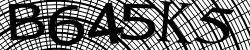 Darstellung des Captcha-Codes.