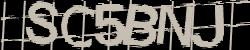Darstellung des Captcha-Codes.