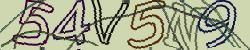 Darstellung des Captcha-Codes.