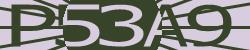 Darstellung des Captcha-Codes.