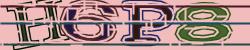 Darstellung des Captcha-Codes.